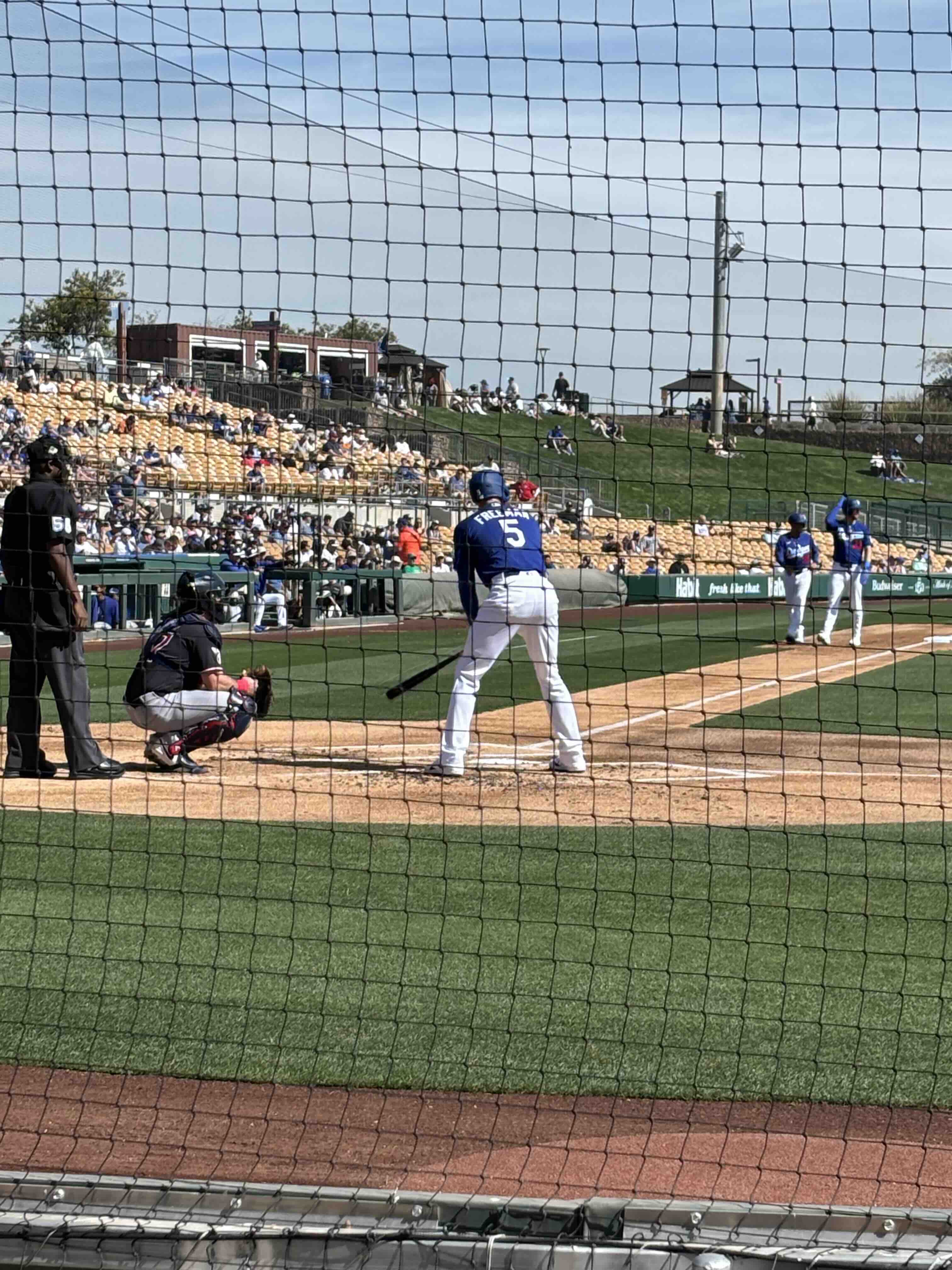 Freddie Freeman at bat during Spring Training